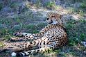 20090615_132731 D3 (1) X1